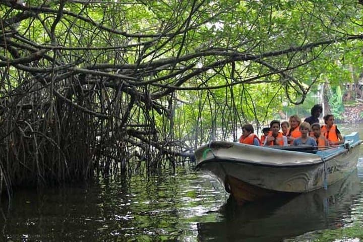 Galle One-Day Excursion: Fort, Turtle Care & Madu River Safari photo 3