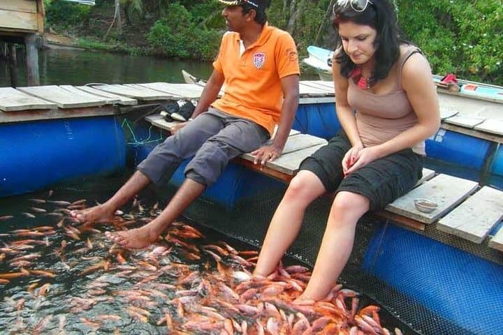 Galle One-Day Excursion: Fort, Turtle Care & Madu River Safari photo 4