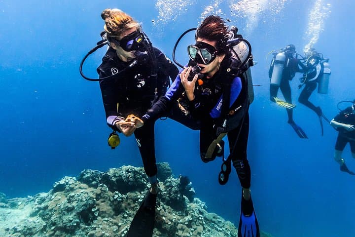 Pemuteran Discover Scuba Diving — Intro Dives in Menjangan National Park photo 2