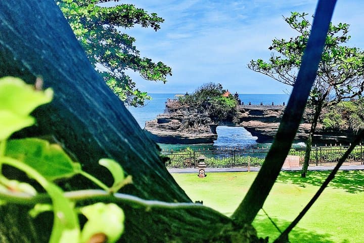 Custom Bali Private Tour: Ubud Rice Terraces, Temples & Beaches with Private Driver photo 5