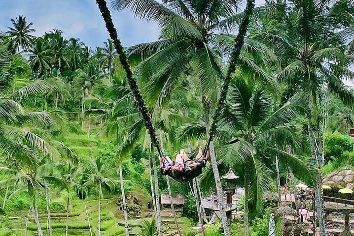 Custom Bali Private Tour: Ubud Rice Terraces, Temples & Beaches with Private Driver photo 4