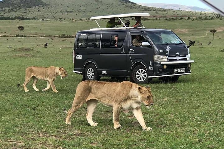 7-Day Great Migration Budget Safari — Masai Mara, Nakuru, Naivasha & Amboseli photo 2