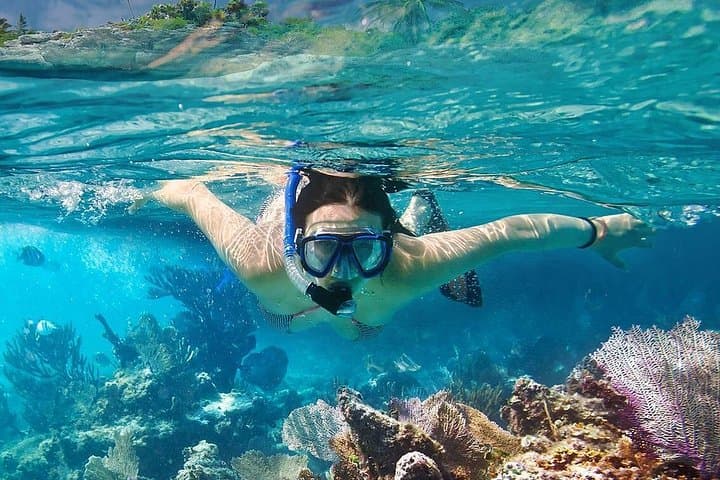 Speedboat Snorkel to Koh Tao & Koh Nangyuan from Ko Samui