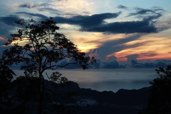 Langkawi Rainforest Afterdark: Night Wildlife Drive & Gunung Raya Walk photo 2