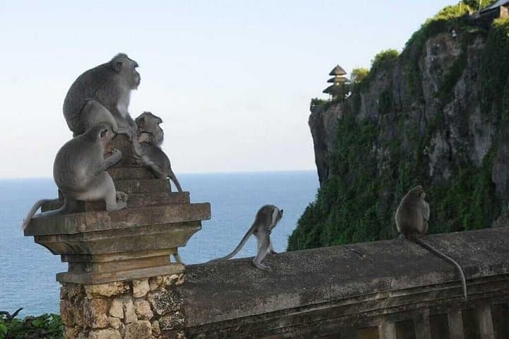 Uluwatu Sunset, Kecak Fire Dance & Jimbaran Seafood: Private Evening Tour in Bali photo 4