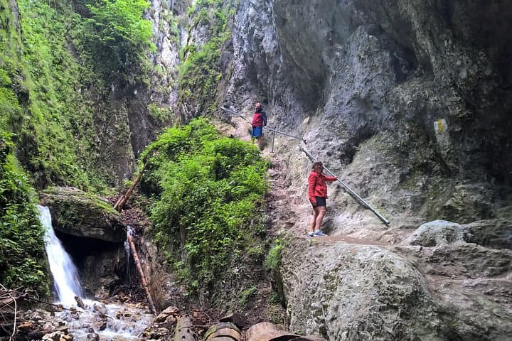 Hike the Seven Ladders Canyon: Half-Day Piatra Mare Adventure from Brasov photo 3