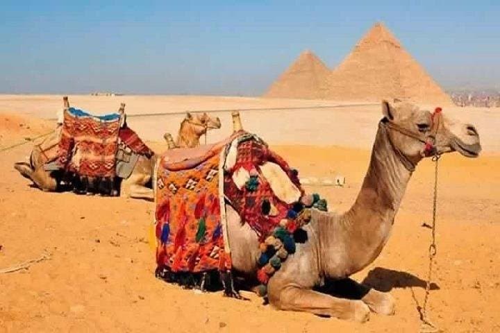 Two-Day Cairo & Giza Highlights: Pyramids, Citadel and Khan el-Khalili photo 6