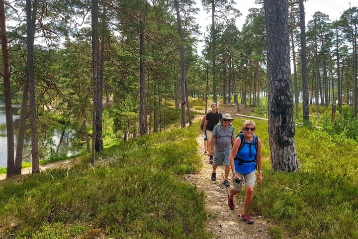 Four Natural Ecosystems in One Hike: Coastal Forests, Lakes, Beach & Gauja Delta Near Riga photo 2