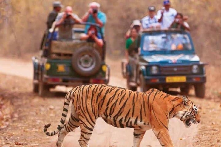 Golden Triangle & Ranthambore: 5-Day Delhi–Agra–Jaipur Tiger Safari photo 1
