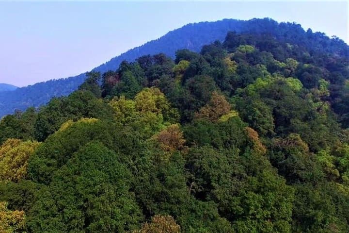 Nagarjun Hill Day Hike — Kathmandu Valley Views & Jamacho Shrine photo 6