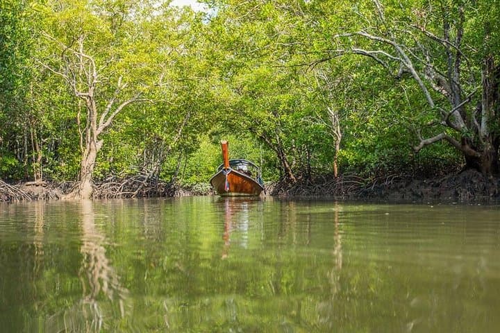 Tung Yee Peng Mangrove Longtail Boat Tour from Koh Lanta — Wildlife, Fish Farm & Monkeys photo 5