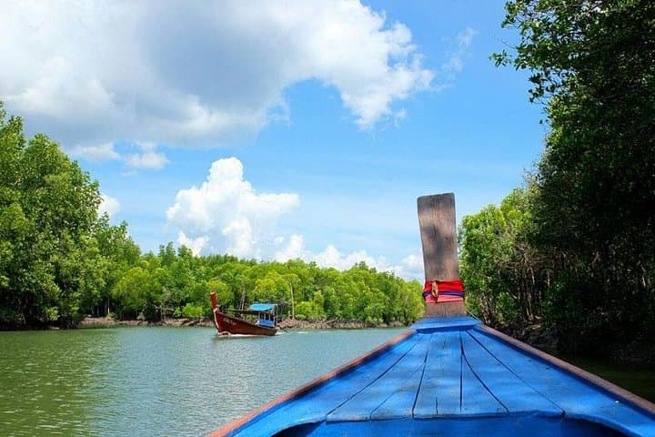 Tung Yee Peng Mangrove Longtail Boat Tour from Koh Lanta — Wildlife, Fish Farm & Monkeys