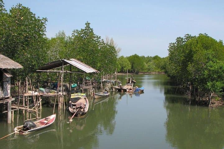 Tung Yee Peng Mangrove Longtail Boat Tour from Koh Lanta — Wildlife, Fish Farm & Monkeys photo 6