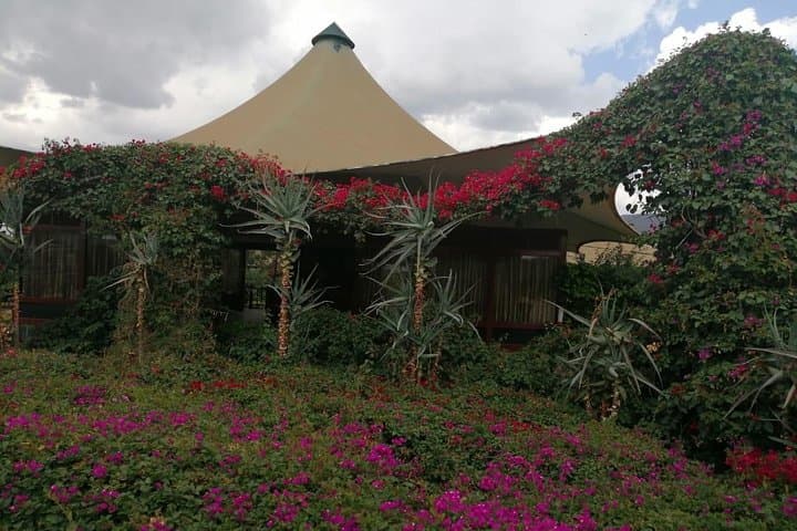 Luxury 3-Day Amboseli and Mount Kilimanjaro Private Safari from Nairobi photo 5