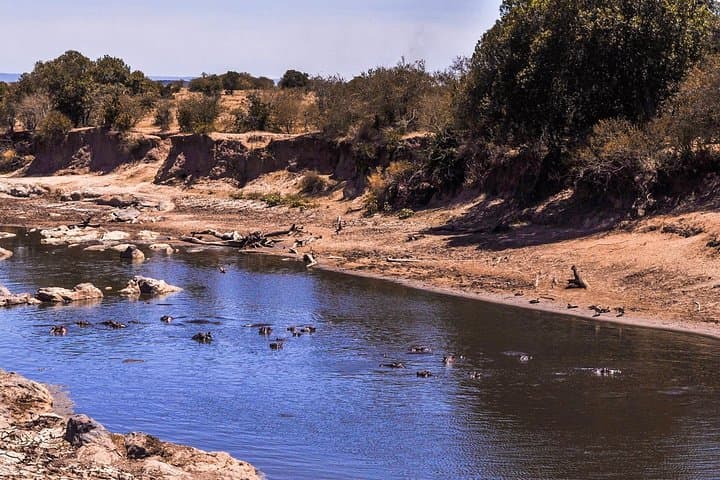 Luxury 3-Day Amboseli and Mount Kilimanjaro Private Safari from Nairobi photo 6