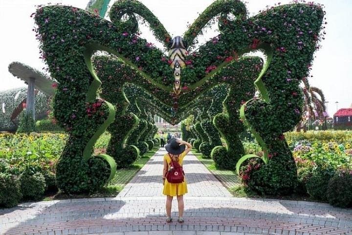Exploring Dubai Miracle Garden: A Practical Visitor’s Guide to the 45-Million-Flower Wonderland photo 4