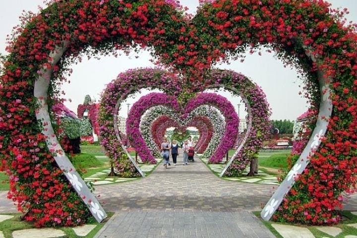 Exploring Dubai Miracle Garden: A Practical Visitor’s Guide to the 45-Million-Flower Wonderland photo 3