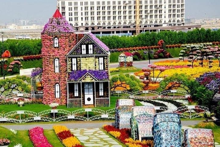 Exploring Dubai Miracle Garden: A Practical Visitor’s Guide to the 45-Million-Flower Wonderland photo 2