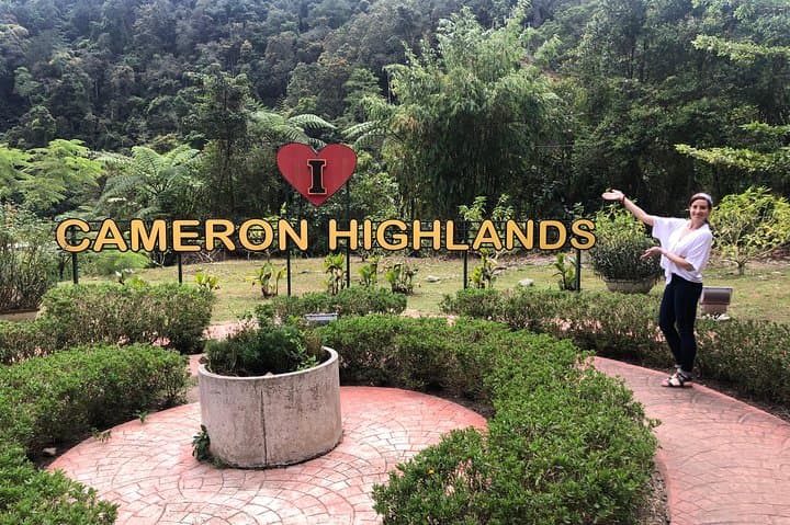 Cameron Highlands Day Tour from Kuala Lumpur — BOH Tea, Waterfalls & Strawberry Farms photo 4