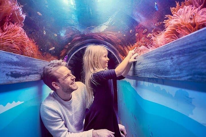 SEA LIFE Brighton — Victorian Aquarium Tickets & Visitor Guide photo 3