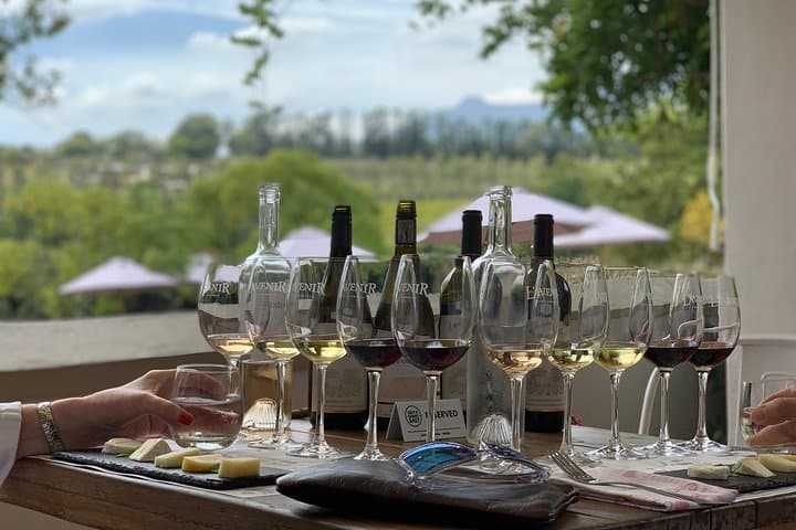 Full-Day Chocolate, Cheese, Olive and Wine Tour from Stellenbosch — Taste the Cape Winelands photo 1