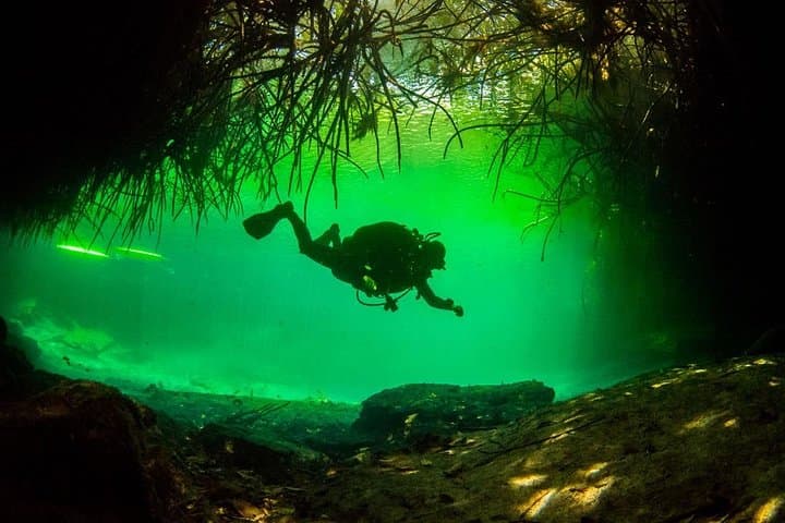 Cenote Diving in Tulum: Two-Tank Cavern Dives at Casa Cenote and Dos Ojos photo 5