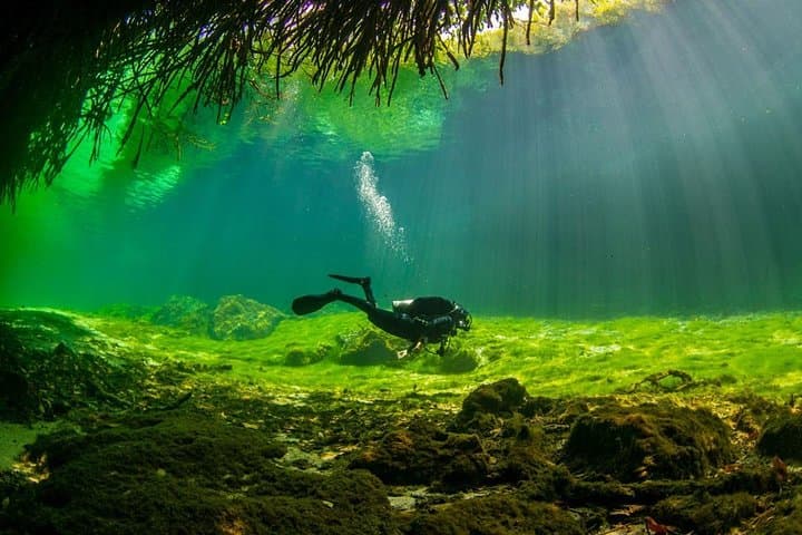 Cenote Diving in Tulum: Two-Tank Cavern Dives at Casa Cenote and Dos Ojos photo 3