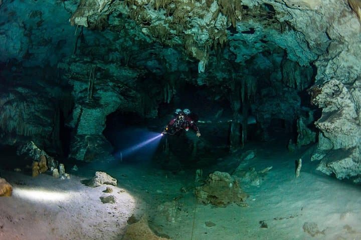 Two Cenote Dives at Dos Ojos for Certified Divers — Tulum Cavern Scuba photo 6