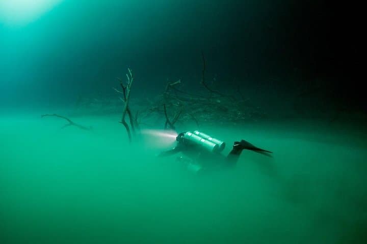 Advanced Cenote Deep Dives in Tulum: Pit & Dos Ojos Cavern Scuba photo 6