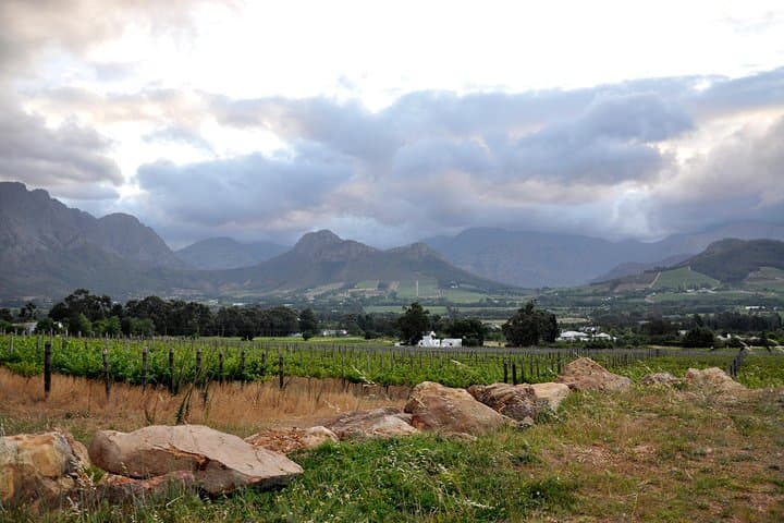 Full-Day Stellenbosch Wine Tour — Small-Group Tastings in the Cape Winelands photo 2