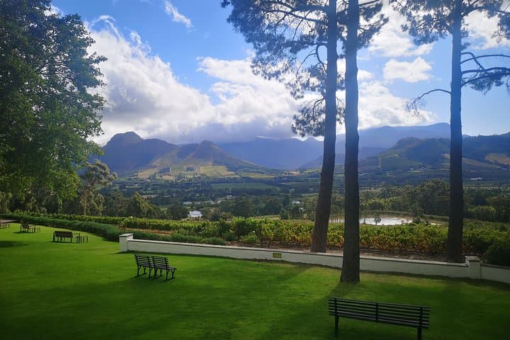 Cape Winelands Private Driver: 6-Hour Non‑Guided Wine Estate Service photo 2