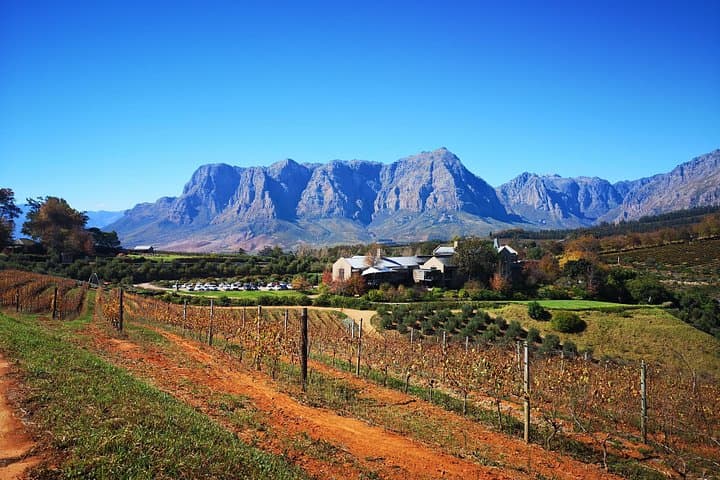 Full-Day Chocolate, Cheese, Olive and Wine Tour from Stellenbosch — Taste the Cape Winelands photo 3