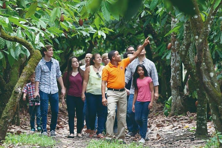 Cacao Trail: Chocolate-Making Day Tour from Santo Domingo to El Sendero del Cacao photo 4