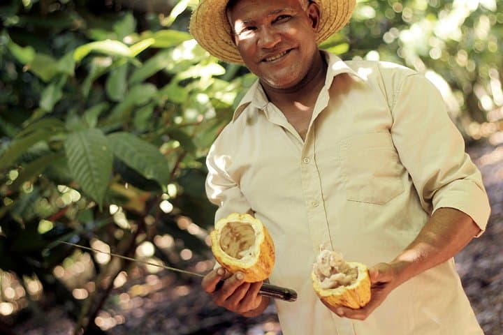Cacao Trail: Chocolate-Making Day Tour from Santo Domingo to El Sendero del Cacao photo 2
