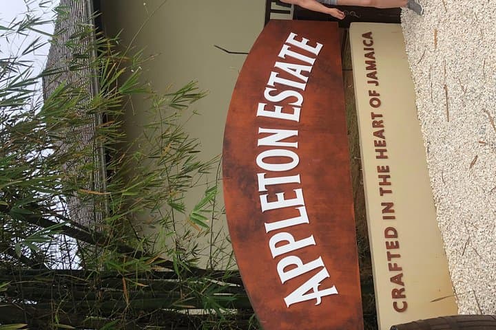 South Coast Experience: Black River Safari, YS Falls & Pelican Bar Day Tour photo 2