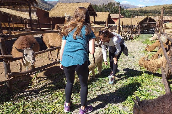 Full-Day Cusco City Tour: Qoricancha, Sacsayhuamán & Sacred Hill Ruins photo 3