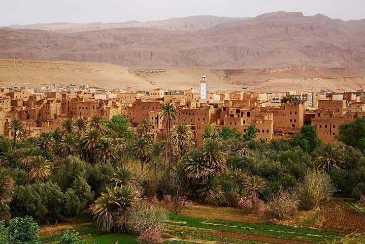 2-Day Zagora Desert Bivouac & Camel Trek from Marrakech photo 5
