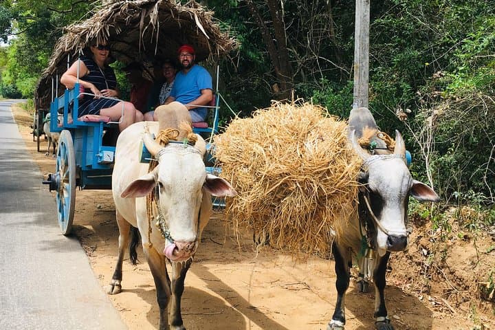 Day Trip from Kandy to Sigiriya & Dambulla: Climb Lion Rock, Explore Cave Temples & Jeep Safari photo 4