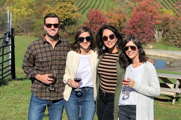 Private Northern Virginia Wine Tour from Washington DC — Custom 6-Hour Tasting Experience