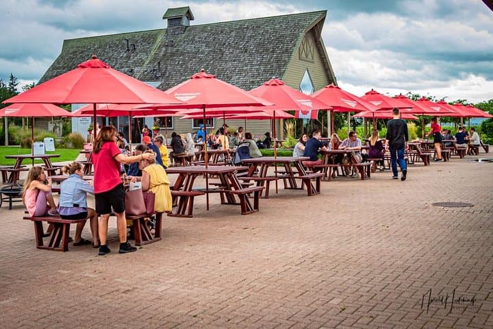 Private Customizable Niagara Wine, Beer & Spirits Day Tour