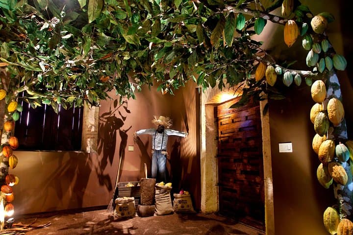 Santo Domingo Colonial Zone Chocolate Tour: History, Cacao & City Walk photo 2