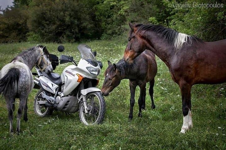 Vikos-Aoos Geopark Riders Tour: Stone Bridges, Gorges & Nomad Trails