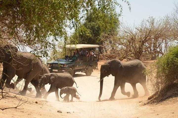 Overnight Hwange Safari from Victoria Falls: 2-Day Big Five Game Drive photo 3