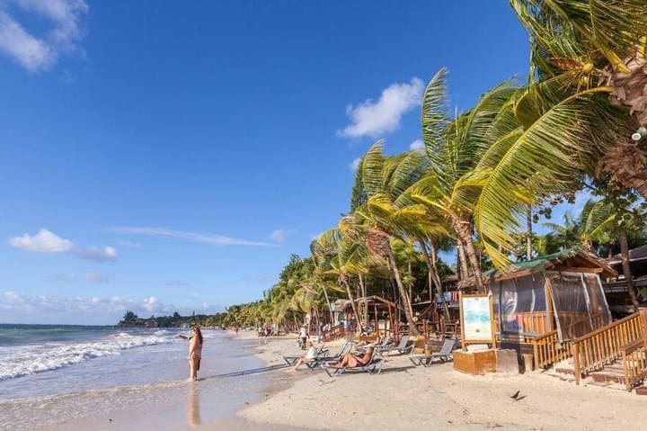 Roatán Zip N Dip: Zipline Over Jungle Canopy & West Bay Beach Break photo 6