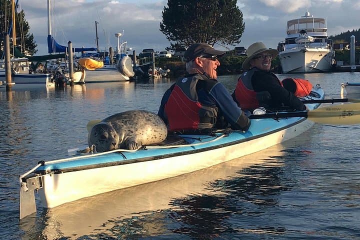 3-Hour Sea Kayak Tour Around Burrows Island — San Juan Islands Kayaking photo 2