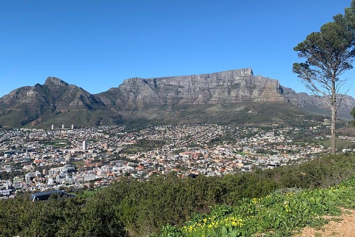 Cape Town in 2 Days: Table Mountain, Robben Island & Cape Peninsula photo 2