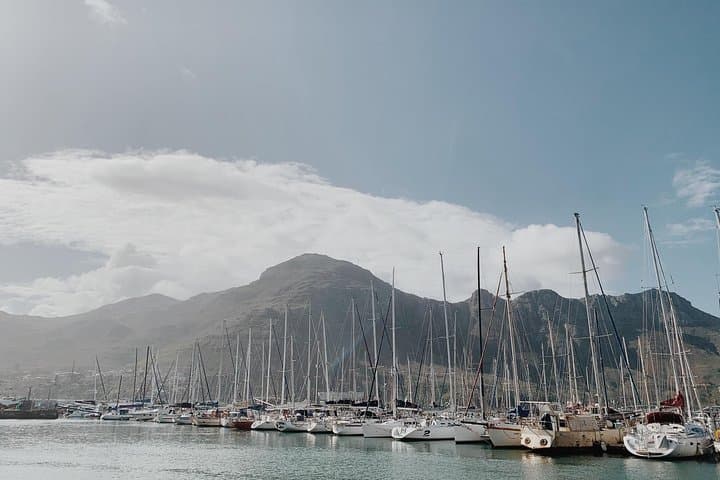 Cape Town in 2 Days: Table Mountain, Robben Island & Cape Peninsula photo 4