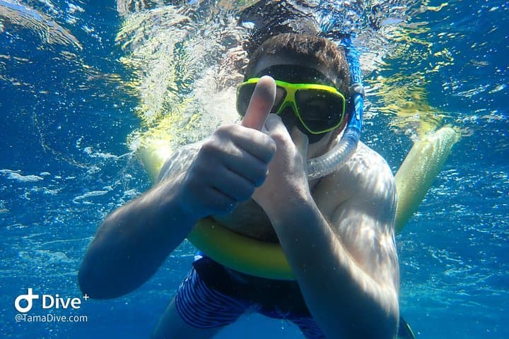 Snorkeling Catalina Islands from Tamarindo — Sharks, Rays & Clear Water