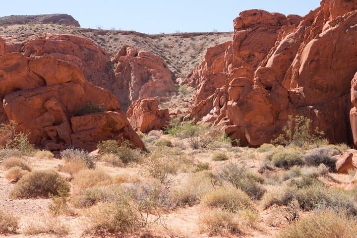 Valley of Fire ATV Tour from Las Vegas: 3-Hour Guided Quad Adventure photo 5