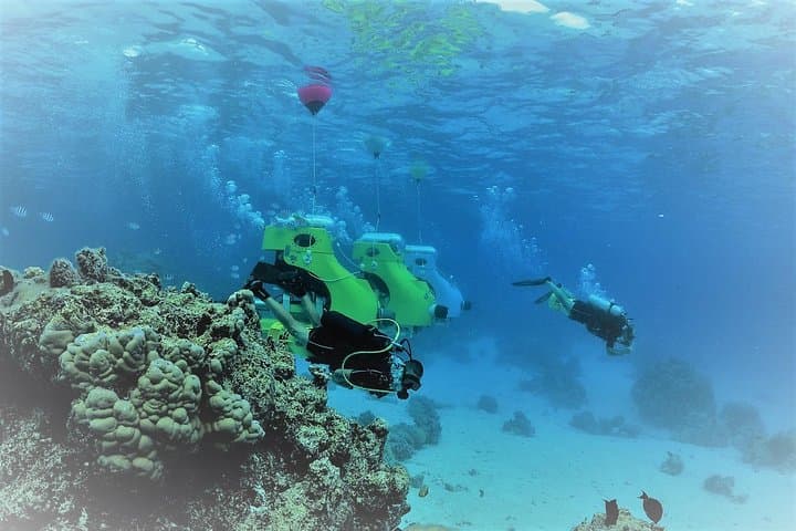 Bora Bora Underwater Scooter: 3-Meter Reef Ride Without Snorkel photo 5